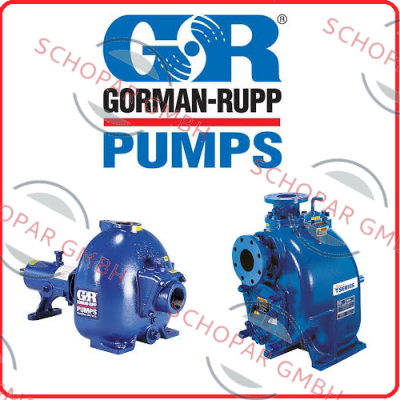 Gorman Rupp-38344-004 10010