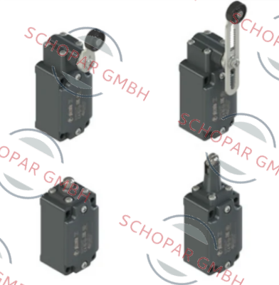 Pizzato Elettrica-FD2056-M2V9