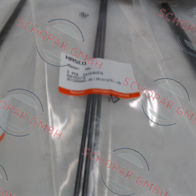 Hasco-2089507