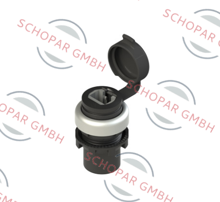 Pizzato Elettrica-E2 1RJ459AAK