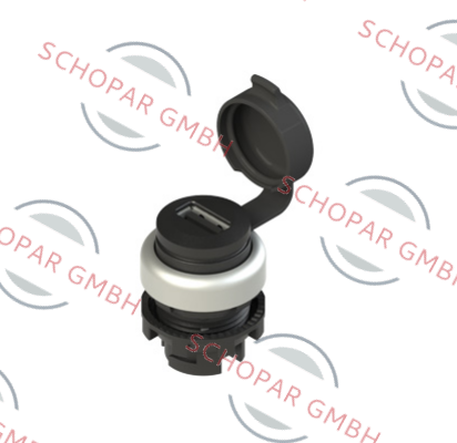 Pizzato Elettrica-E2 1USB9CAK