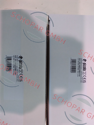 Pizzato Elettrica-NS H4ZZ1DB2-F41