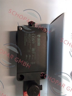 Pizzato Elettrica-FS 3098D024-M2-K40