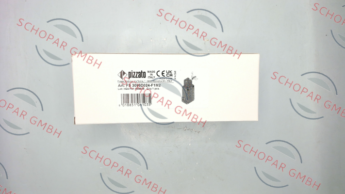 Pizzato Elettrica-FS 3096D024-F1M2