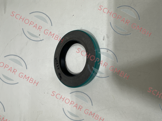 Gorman Rupp-S389