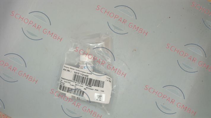 Evoqua Water Technologies-W3T173163