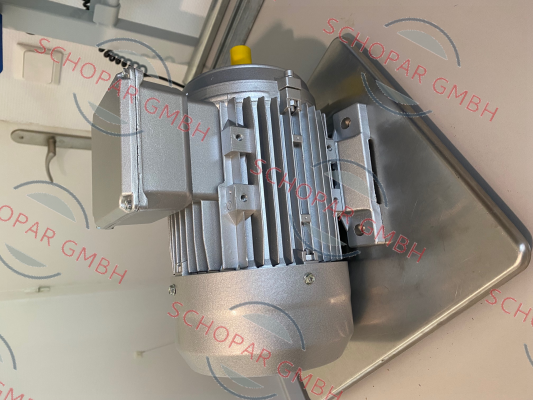 Almo-23070820