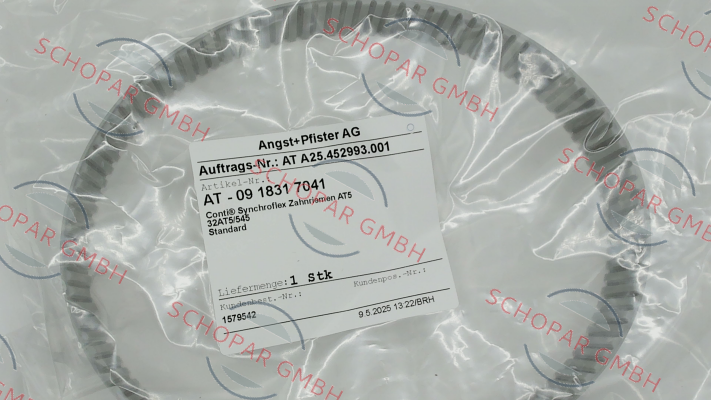 Angst-Pfister-P/N: 0918317041, Type: 32AT5/545