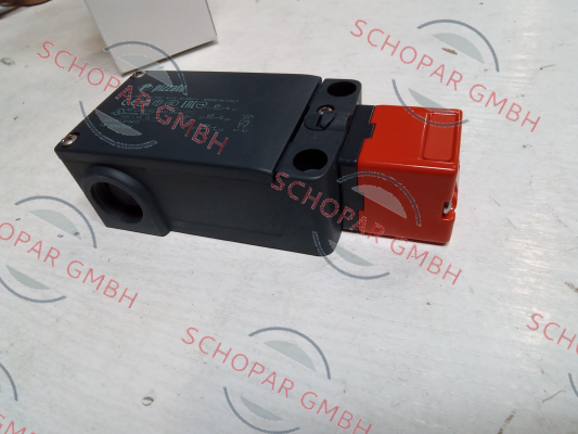 Pizzato Elettrica-FS 2996D024