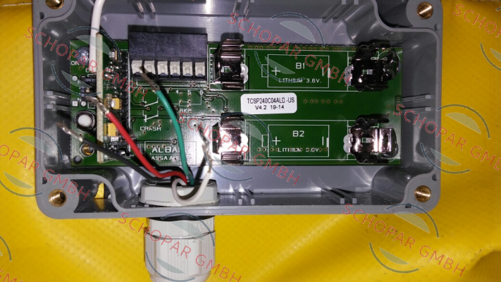 Albany-TCSP240C04ALD-US (D4904T0027) 