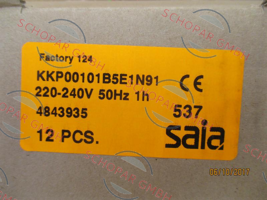 Saia-Burgess-KKP00101B5E1N91 