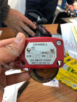 Grinnell-313040 - Type CV-1, FM, 2"-60.3 mm