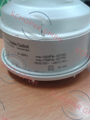 Huba Control-604.9010020 