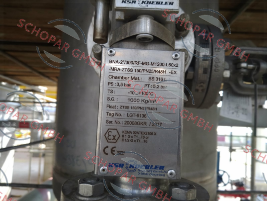 Ksr Kuebler-BNA-2"/300/RF-MG-M1.200-L60x2-MRAZTSS150/PN25/R48H-Ex 