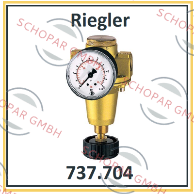 Riegler-P/N: 100893 Type: 737.704