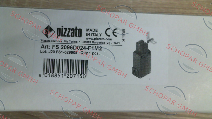 Pizzato Elettrica-FS 2096D024-F1M2