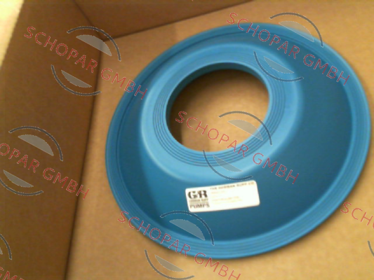 Gorman Rupp-26844-041
