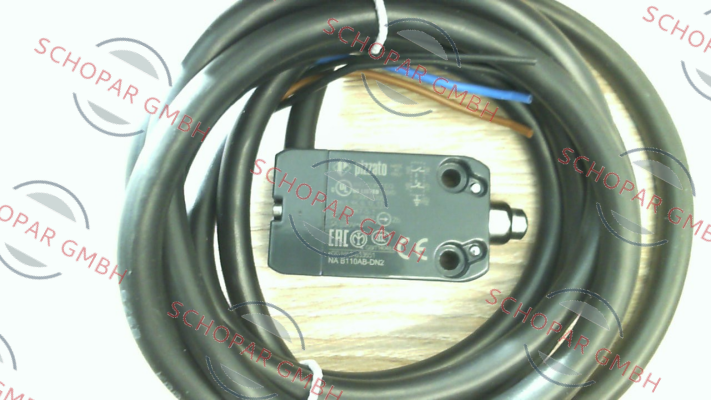 Pizzato Elettrica-NA B110AB-DN2