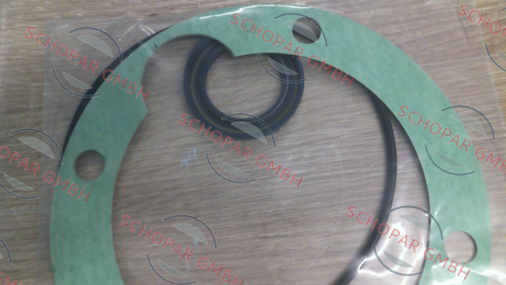 Settima-SEAL KIT for GR70-SMT16B pump