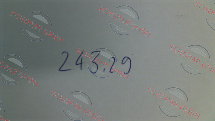 Riegler-243.29