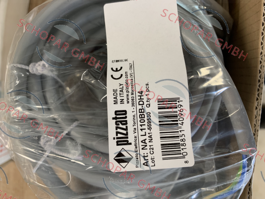 Pizzato Elettrica-NA L110BB-DH4