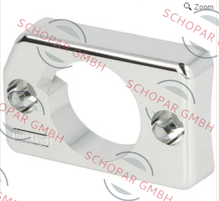 Siemens (Landis Gyr)-424188550 