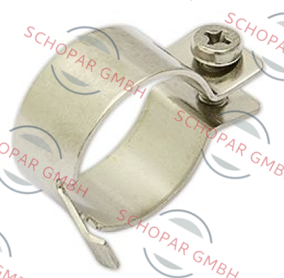 Siemens (Landis Gyr)-419988060 