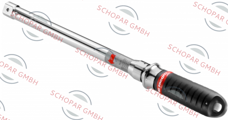 Facom-S.306-100D 