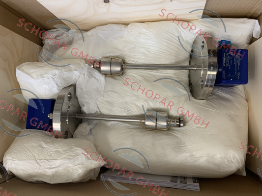 Ksr Kuebler-NMG125-AFV2"/150/RF-VK5/T32-L250/12-V44R-Ex