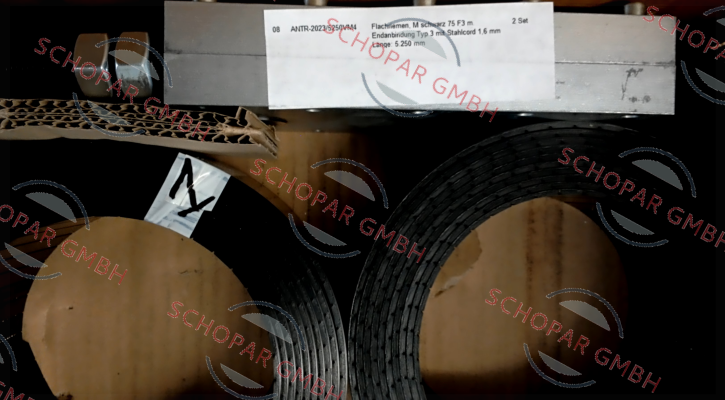 Flexlift-ANTR-2023/5250VM4
