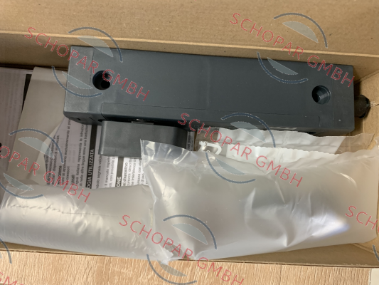 Pizzato Elettrica-NS D4AZ1SPK-F41