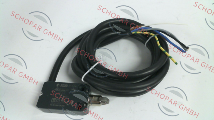 Pizzato Elettrica-NA B110BB-DN2H0