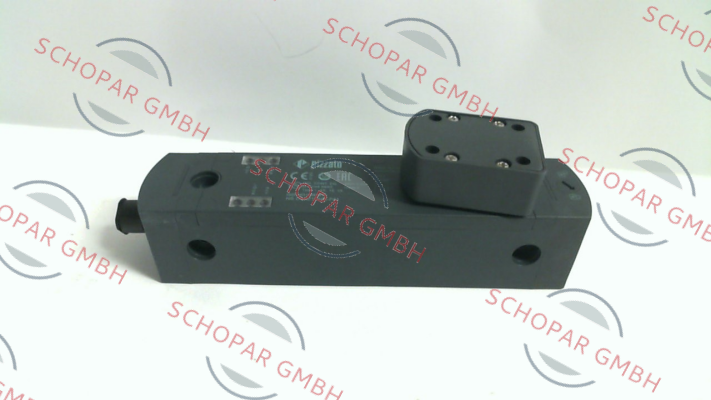 Pizzato Elettrica-NS D4AZ1SMK-F41