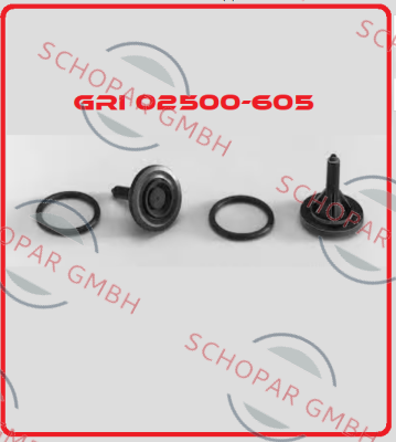 Gorman Rupp-02500-605