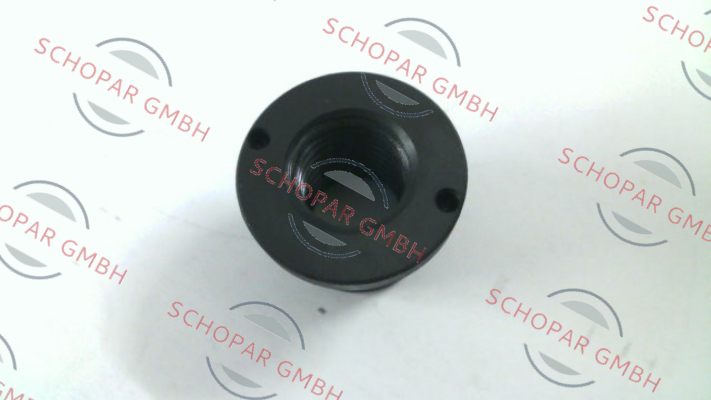 Rehobot-CHF51560