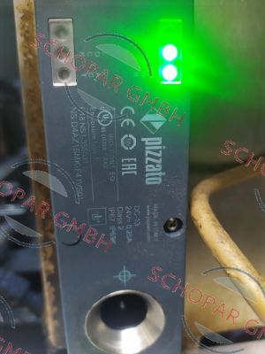 Pizzato Elettrica-NS D4AZ1SMK-F41VS01